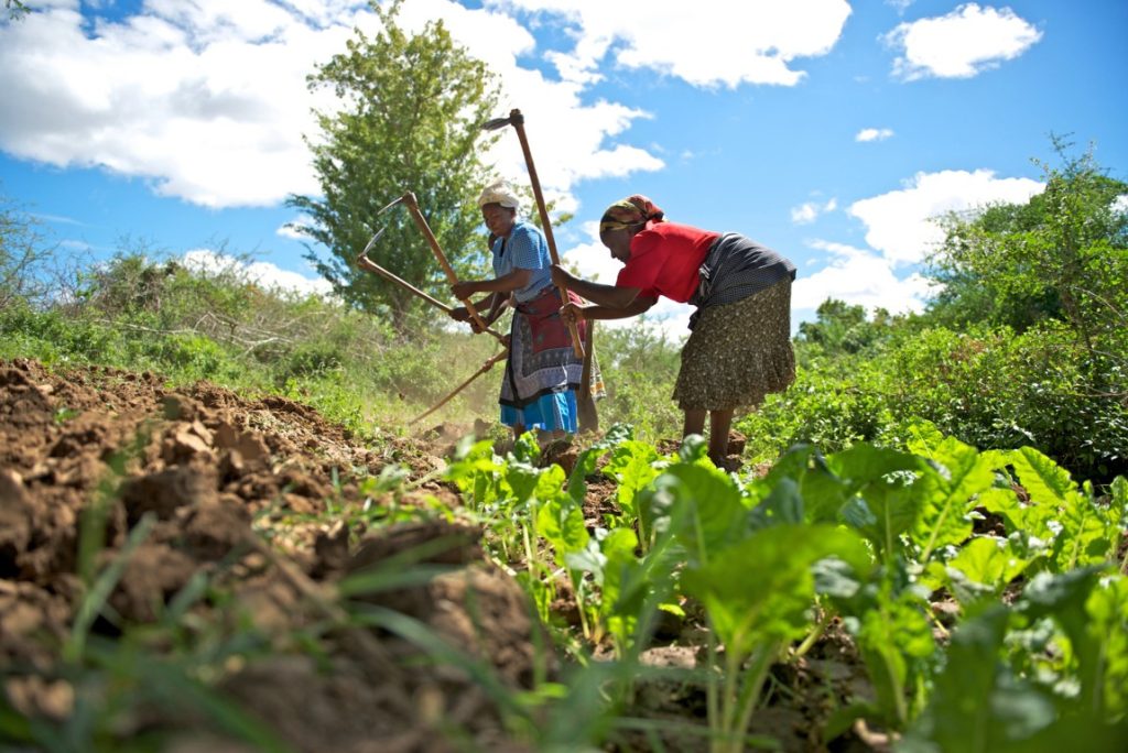Increasing food insecurity caused by climate change affecting Ghana’s economy