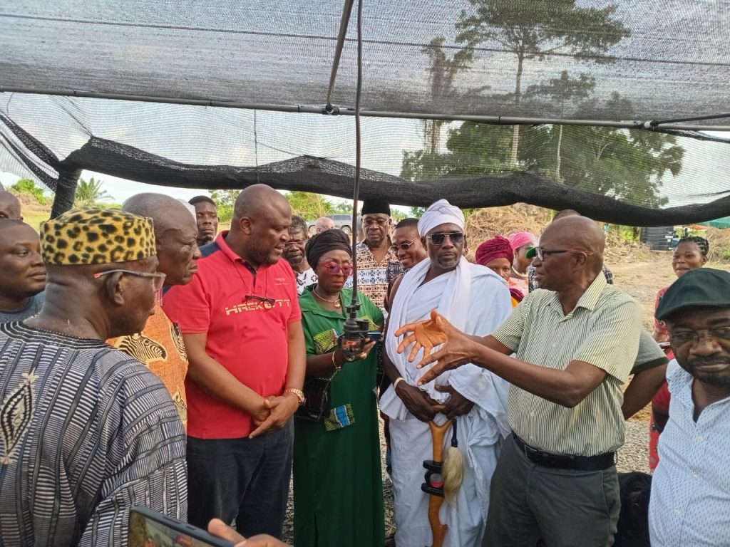 Volta Palm: Game changer project for Volta takes off. Volta Palm, an innovative venture focusing on sustainable oil palm cultivation and production in the Volta Region through collaborative partnerships with landowners and farmers, has taken off.