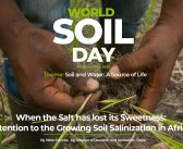 Halt soil salinization, boost soil productivity [Article]