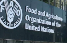 How to Apply for a Job at the Food and Agriculture Organization (FAO) (168 Jobs available) and Effective Steps?