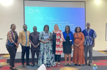 National Plastic Action Partnership to promote inclusion across plastic value chain. Madam Ophelia Mensah Hayford, the Minister Designate, for Environment, Science, Technology and Innovation (MESTI), has said the Ghana National Plastic Action Partnership (Gh-NPAP) will promote inclusion across the plastic value chain.