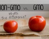 Court dismisses suit against commercialisation of GMOs