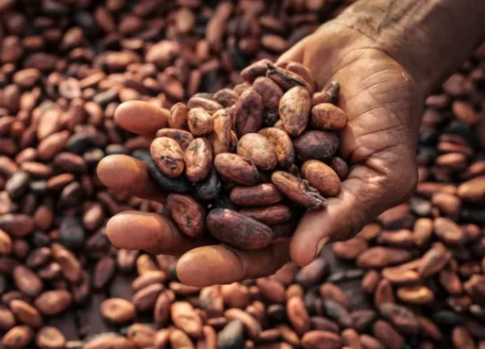 38years old man  jailed 7 years for cocoa smuggling