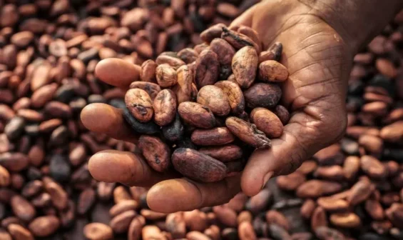 38years old man  jailed 7 years for cocoa smuggling
