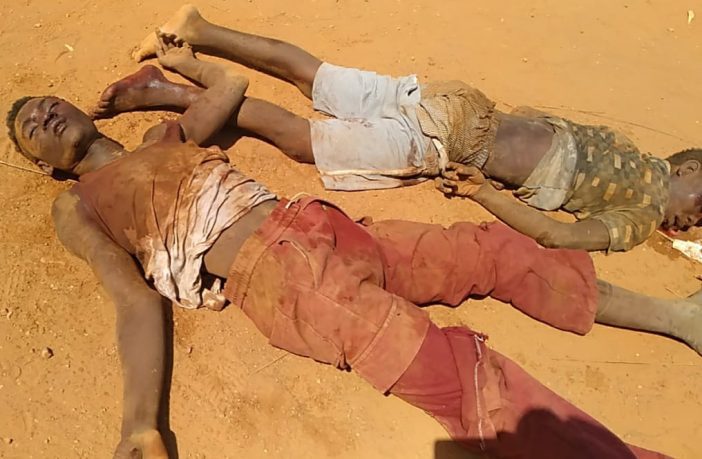 Two men lynched over alleged goat theft. Two unknown men have been, lynched by some unidentified persons for allegedly stealing a goat at Tema Community 25.