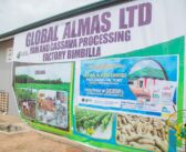 Akufo-Addo inspect one district one factory in Bimbilla