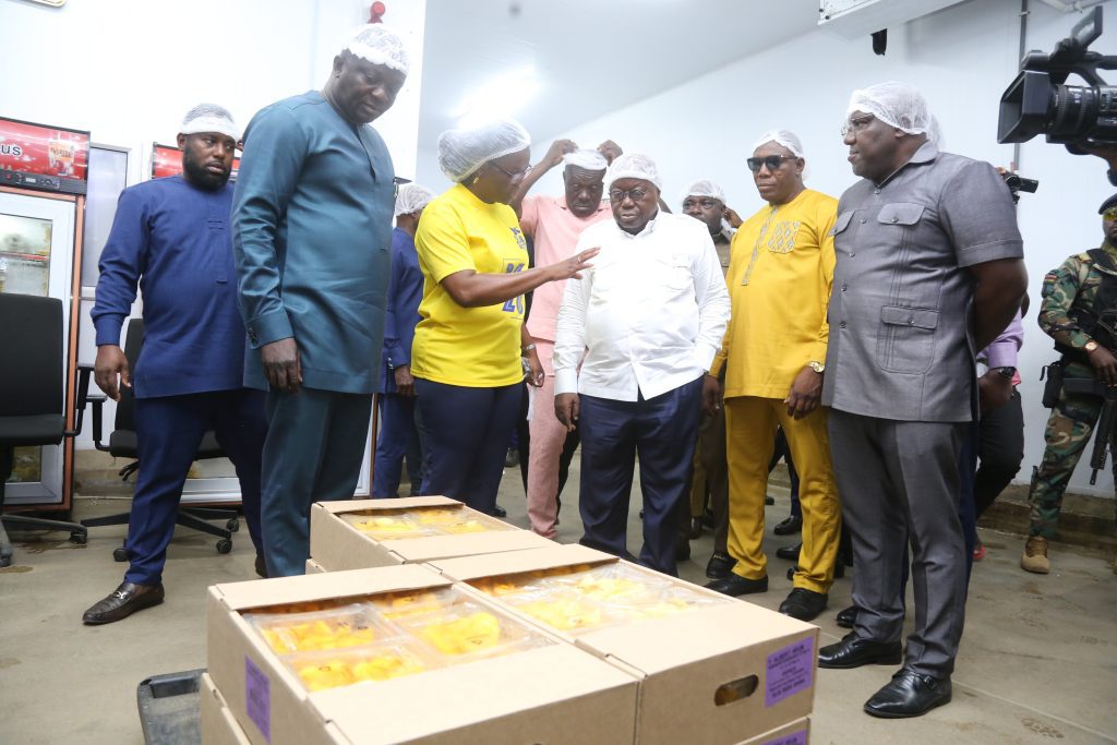 President visits Blue Skies company. Blues Skies Ghana Limited, the company that produces Blue Skies fruit juice, has asked President Nana Addo Dankwa Akufo-Addo for help to address the activities of land guards and illegal sand winners in their operational areas.
