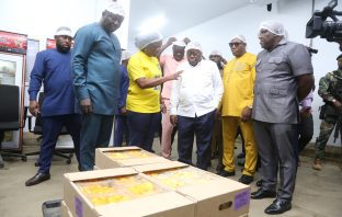 President visits Blue Skies company. Blues Skies Ghana Limited, the company that produces Blue Skies fruit juice, has asked President Nana Addo Dankwa Akufo-Addo for help to address the activities of land guards and illegal sand winners in their operational areas.