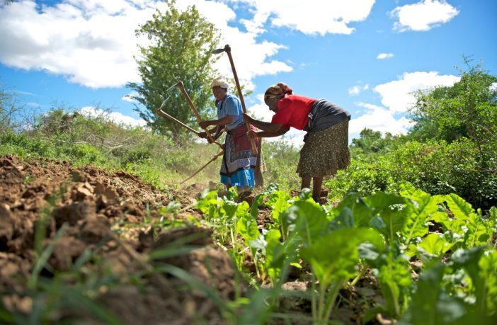 Increasing food insecurity caused by climate change affecting Ghana’s economy