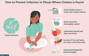 cholera-overview