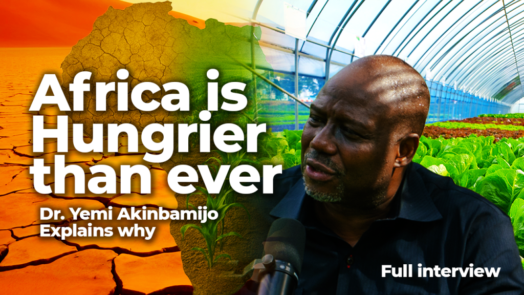 feeding africa podcast