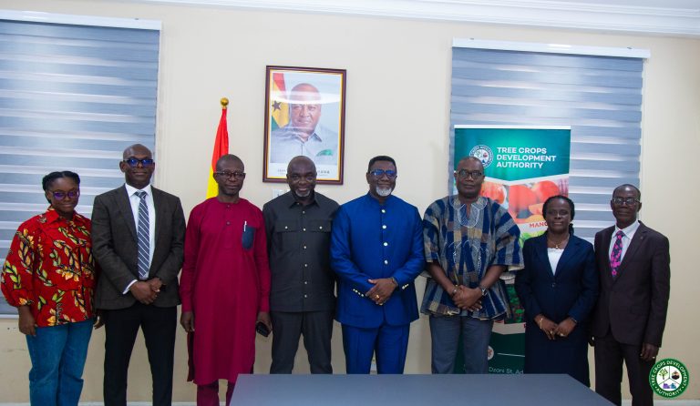 Economics TCDA Committee 11