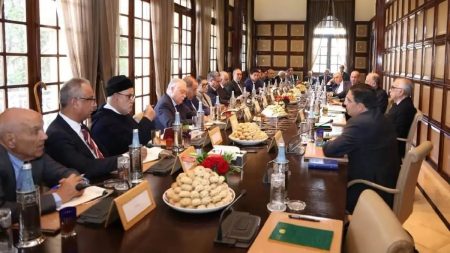 Social King Consultation