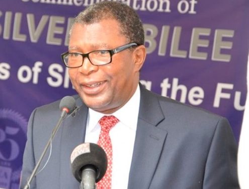 IEA Urges Parliament to Suspend Lithium Deal Over Poor Value for Ghana IEA 495x375 1