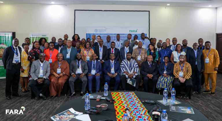 World needs 50% more food by 2050 to achieve food security – FAO Opportunity Crops FARA and FAO