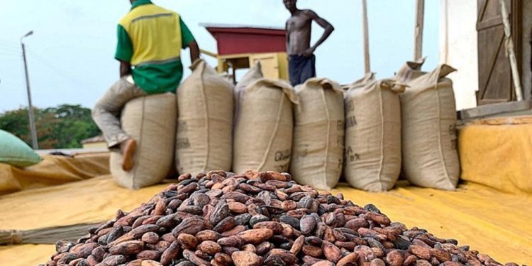 Ghana, Côte d’Ivoire Renew Call for Cocoa Industrialisation and Local Processing cocoa1 750x375 1