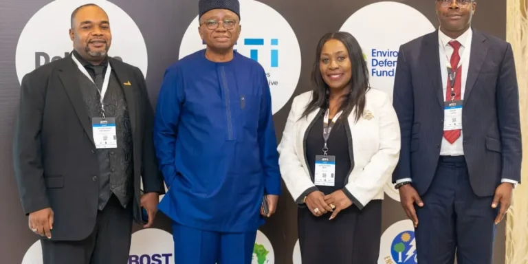 Ghana Gas CEO calls for increased investment in African gas infrastructure